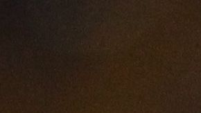 El francés llegó a Tigres en 2015.