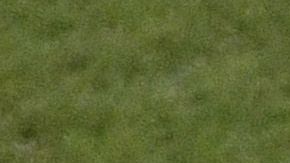 Nico Benedetti, Federico Viñas y Sebastián Cáceres se quedan sin juegos olímpicos.