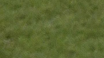 Nico Benedetti, Federico Viñas y Sebastián Cáceres se quedan sin juegos olímpicos.