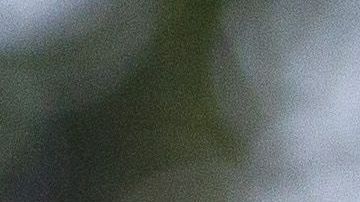 Javier Hernández mostró cómo fue su mudanza, su asistencia a los Premios Grammy y algunos detalles del homenaje a Kobe en el Staples Center.