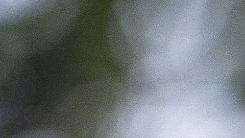 Podrá entrenar al parejo de sus compañeros.