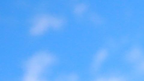 La salida de Pizarro tendría que darse antes del jueves.