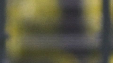Luis Fuentes fue uno de los refuerzos americanistas para el Clausura 2020.