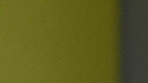 Roger Martínez se quedará en el América.