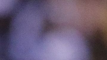 Sebastián Córdova volvió a la titularidad con el América.