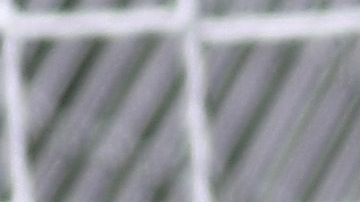 El América Femenil es líder del torneo.