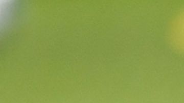 Antuna fue muy criticado por sus fallas.