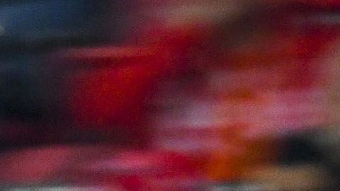 Toluca, Estado de México, 15 de febrero de 2020. , durante el juego de la jornada 6 del torneo Clausura 2020 de la Liga BBVA MX, entre Diablos Rojos del Toluca y Pumas de la UNAM, celebrado en el estadio Nemesio Diez. Foto: Imago7/Etzel Espinosa