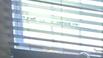 Sismos en Puerto Rico