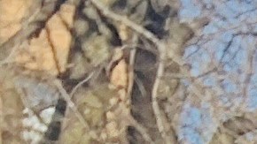 Líderes comunitarios junto a varios funcionarios ascendencia dominicana, durante el acto cívico en el Alto Manhattan.