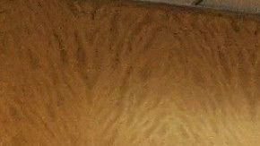 Sochil Martín presentó la primera demanda en contra de la iglesia La Luz del Mundo y sus líderes.