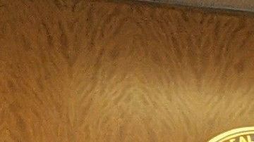 Sochil Martín presentó la primera demanda en contra de la iglesia La Luz del Mundo y sus líderes.