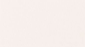 Elementos como las plantas ayudan a repeler las energías negativas.