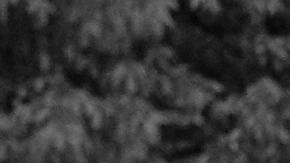 Hay signos más infieles que otros.