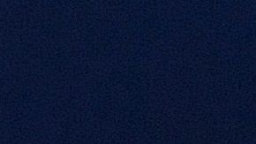 Javier 'Chicharito' Hernández.