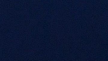 Javier 'Chicharito' Hernández.