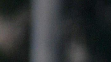 La nueva dupla del Galaxy se divierte en su tiempo libre.