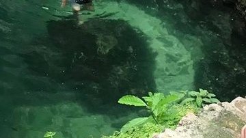 José Contla, había llegado de México para estudiar en NYC y ser abogado.