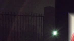 Juez Michael Petucci