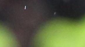 Lautaro Martínez es el jugador más determinante del Inter de Milán esta temporada.