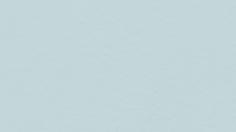 Los libros en sus versiones impresas pueden adquirirse en  la tienda de Teatro SEA o en el sitio web de la compañía.