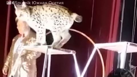 El animal se asustó al caer de la base donde se encontraba.
