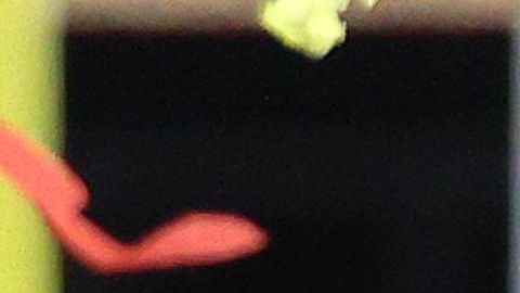 Mahomes fue el héroe de la noche.