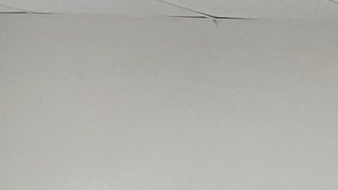 Miembros de Make the Road Act viajaron a Nevada para impulsar el voto latino en ese estado.