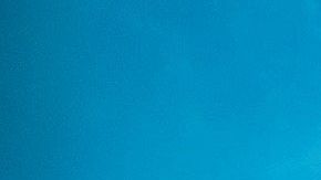 La manta raya oceánica gigante no es rosada.