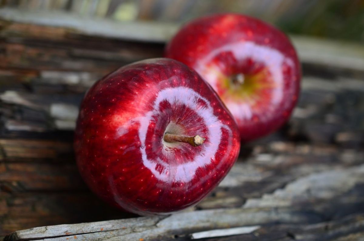 Las manzanas son ricas en quercitina, compuestos con efectos atioxidantes y antiinflamatorios. 