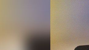 membresia-costco-motivo-de-cancelacion