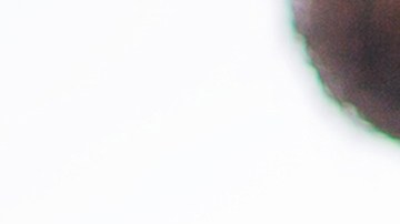 Proteja sus derechos como trabajador.