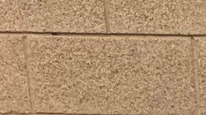 La droga entre el brócoli.