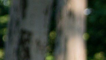 No tienes por qué pasar todo ese tiempo en cama.