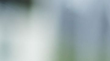 La mujer escondió el teléfono debajo de un asiento.