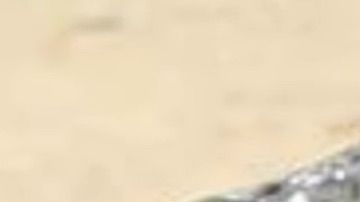 Noemí González tiene 54 años y, hasta el momento de su desaparición, vivía en North Miami.