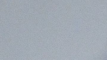 Passerini conoció a su novia en Chile.