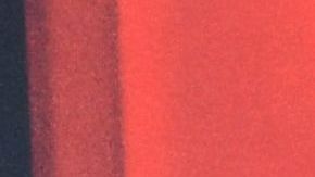 Natalia Barulich salió con Maluma durante casi dos años.