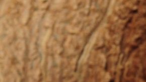 El aceite de coco es un ingrediente versátil que beneficia la salud del corazón.