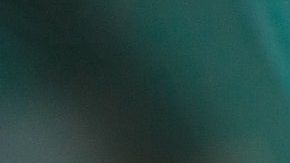 La cirugía para extirpar el parásito de su cerebro fue un éxito.