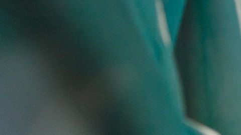 La cirugía para extirpar el parásito de su cerebro fue un éxito.