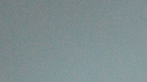 Perro raza pit bull/Archivo.