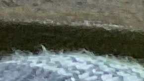 Los inquilinos del edificio de renta estabilizada, en el vecindario University Heights de El Bronx, durante la protesta.