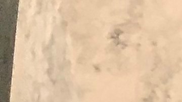 La asambleísta Catalina Cruz, apoya que la legislación de fianzas no sea revisada.RAPP CAMPAIGN 