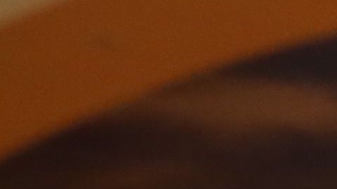 Los neoyorquinos usan aproximadamente 23 mil millones de bolsas de plástico al año.