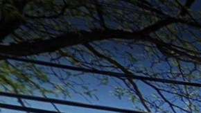 Pan American International High School, Queens