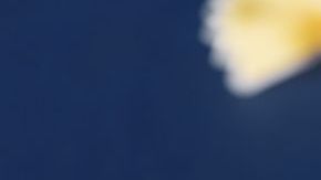 Extraordinarias marcas de pasta comercial para considerar en tu próxima visita al supermercado.