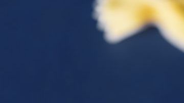 Extraordinarias marcas de pasta comercial para considerar en tu próxima visita al supermercado.