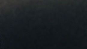 El color del pelaje de los perros cambia muchas veces por una enfermedad.