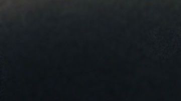 El color del pelaje de los perros cambia muchas veces por una enfermedad.